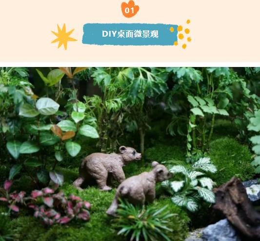 2025年创意手作DIY团建趣味活动项目合集在优雅与趣味体验快乐