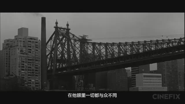 百年电影史10部最好的美学电影作品(图3)