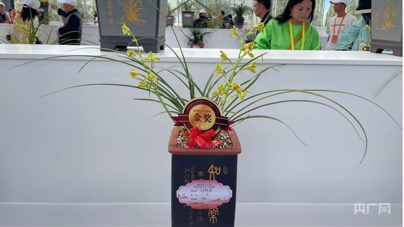 以兰为媒 西安市长安区集中签约农文旅项目21个(图2)