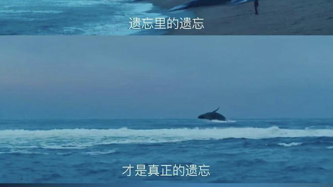提高审美｜成长必看电影这5部美得像诗后劲巨大部部封神(图2)