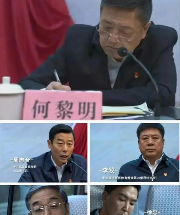 影视：正国级大老虎被判死刑临死前供出最大保护伞中央都吓坏(图2)