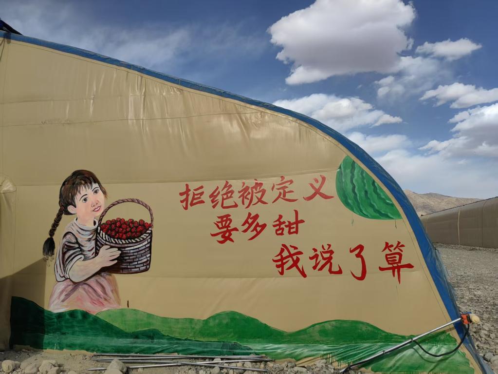 帕米尔高原的樱桃如何实现身价倍增？(图3)