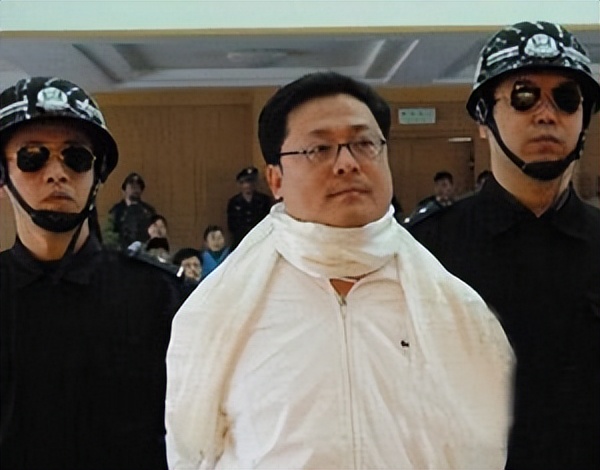 影视：全国最大保护伞被查国家公安部下达A级逮捕令太震撼了(图5)